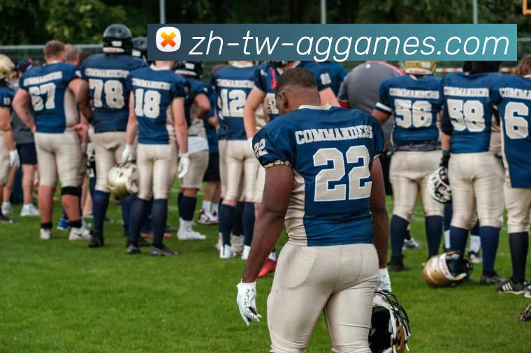 App Interface Preview